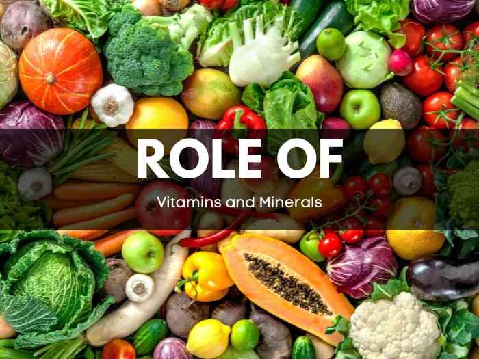 Vitamins and Minerals